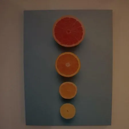 Silva By The Sea With Nazare's Views Nazaré